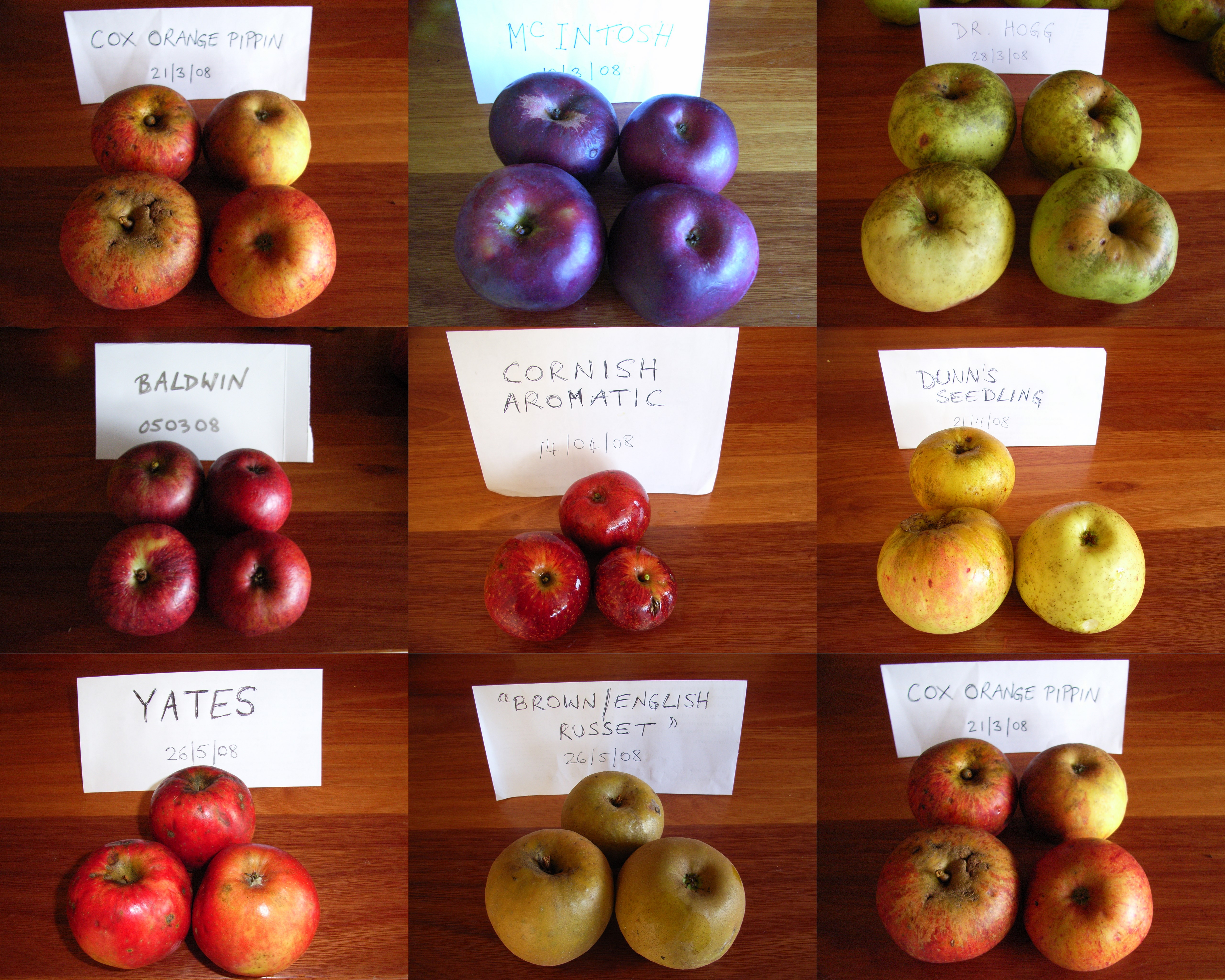 какого цвета бывают яблоки